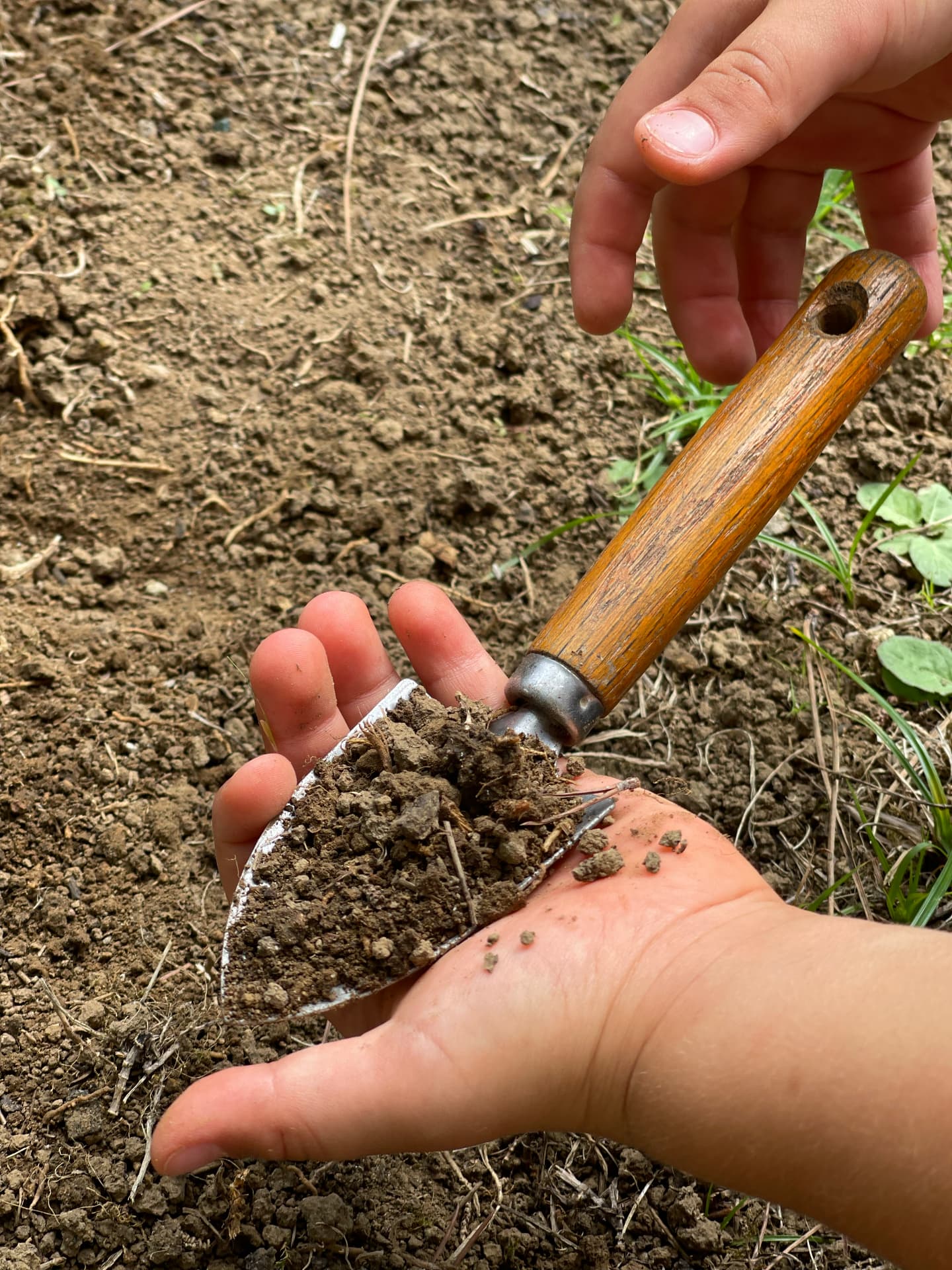 Horta e natureza